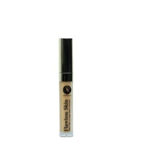 Flawless Skin Liquid Concealer – Cinnamon